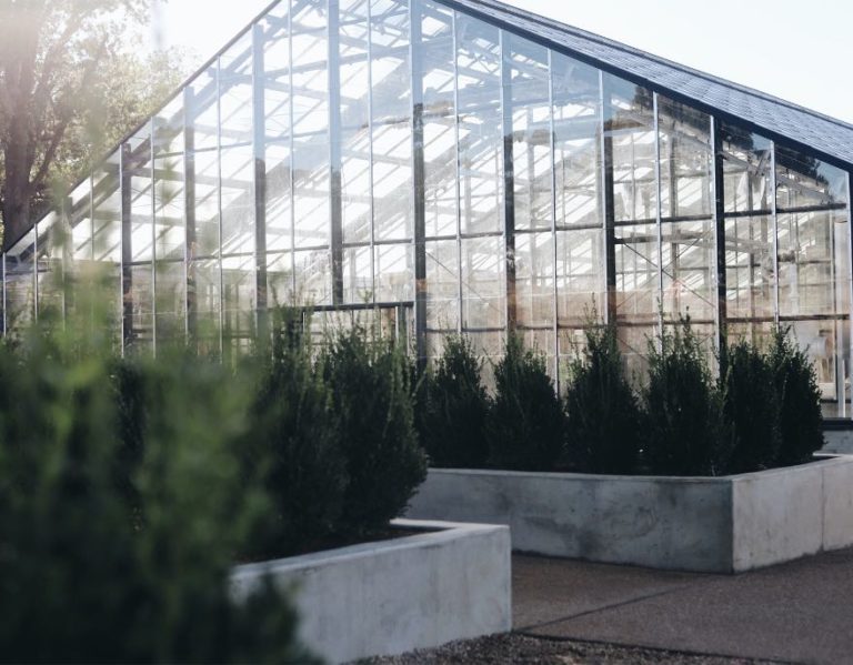 Greenhouse