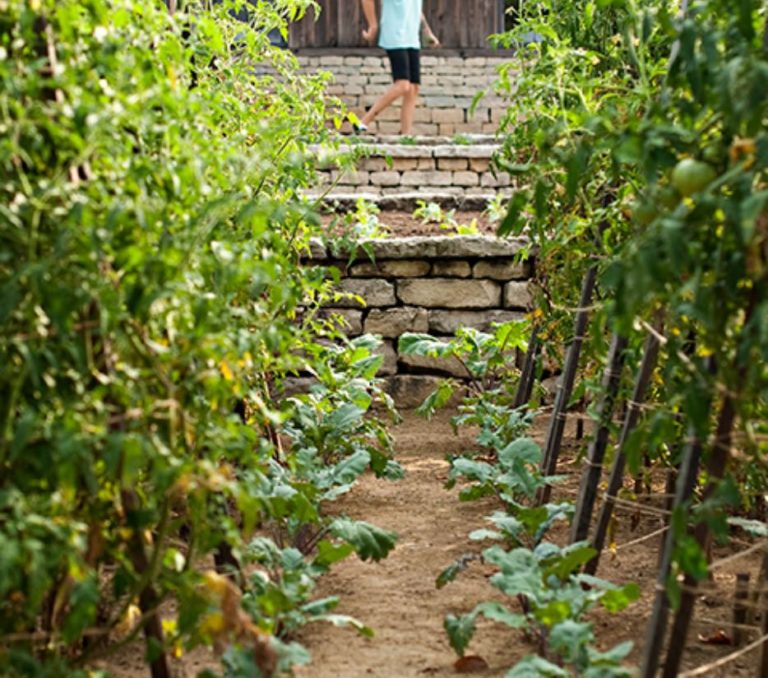 Garden with person in background