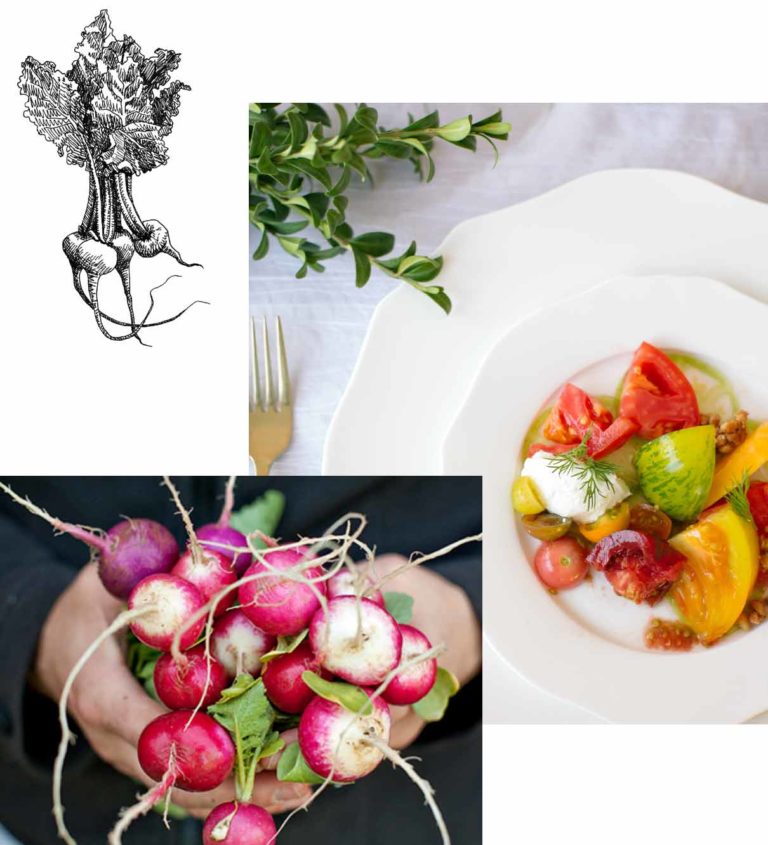 collage of photos with fresh radishes and cuisine from Barn8