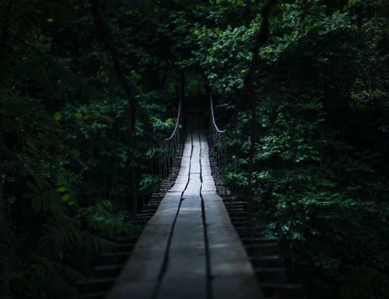 boardwalk