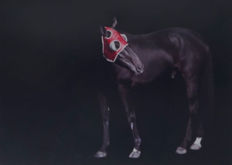 Artwork of racing horse