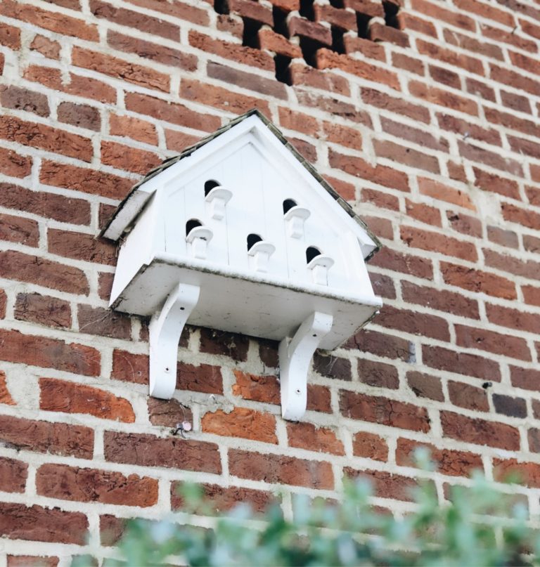 Birdhouse on building