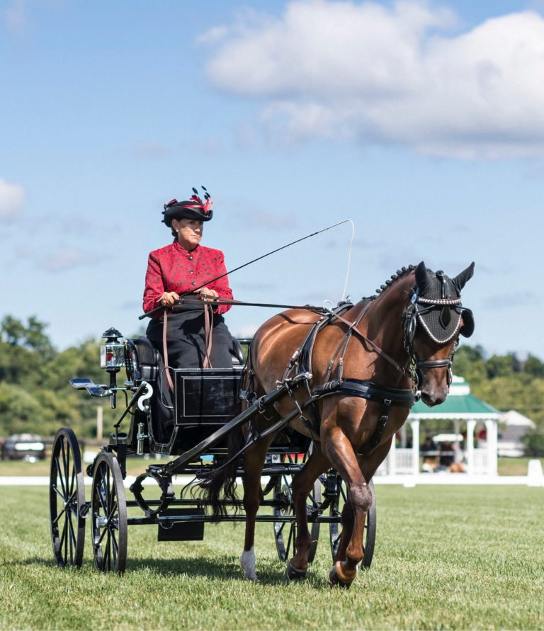 woman in 1-horse carriage