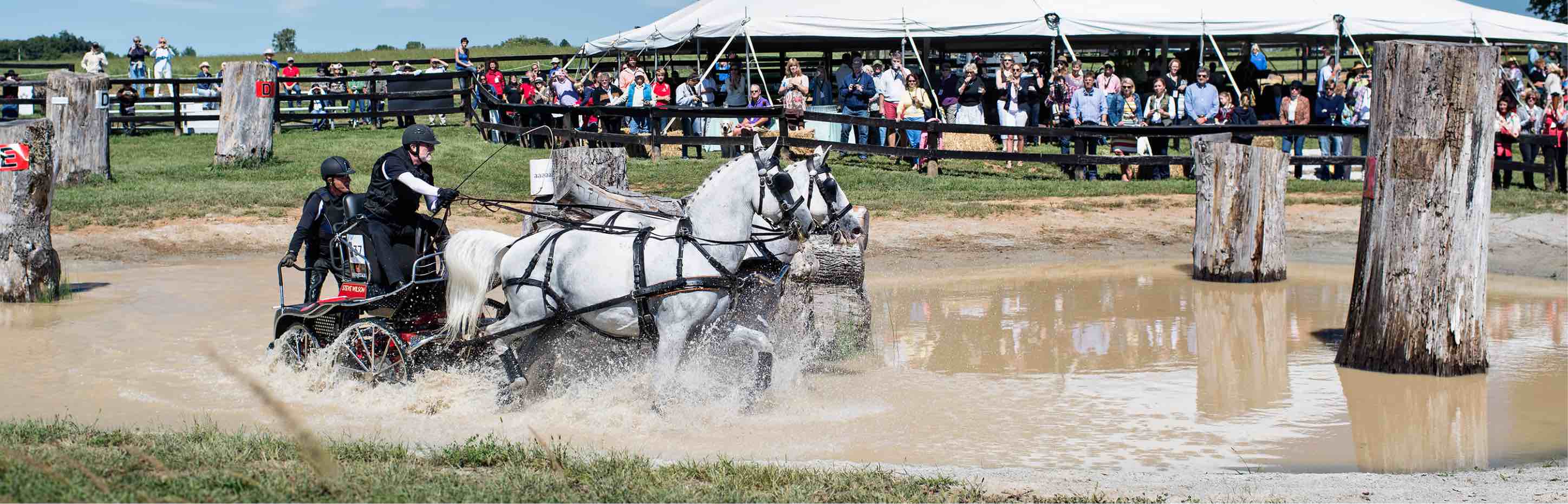 Hermitage Farm photo